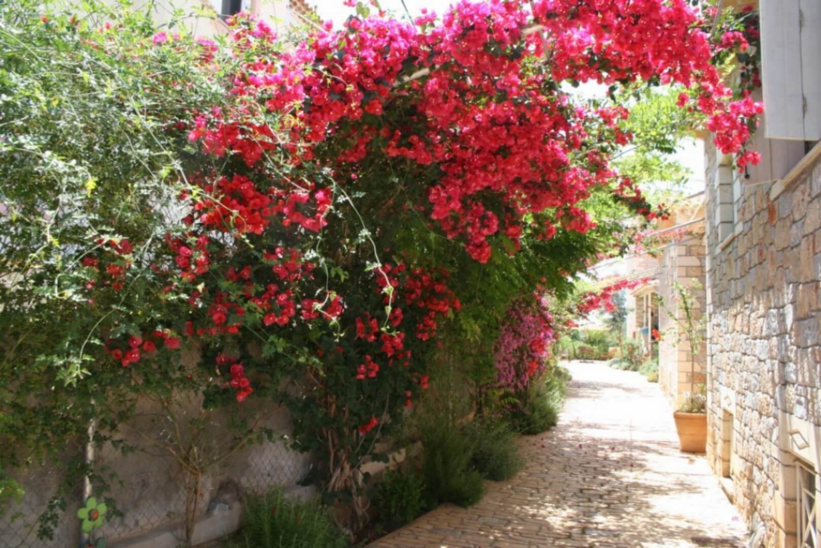 IMG_4018-HDTV-720-Αρχική-ανάλυση-Ανάλυση-οθόνης