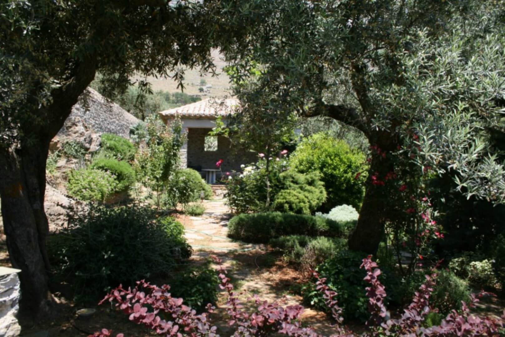 IMG_4050-HDTV-720-Αρχική-ανάλυση-Ανάλυση-οθόνης